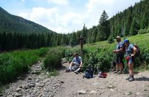 Guided Hike in the Rockies