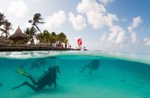 Discover Scuba Diving Experience