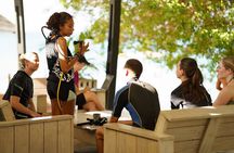 Discover Scuba Diving Experience