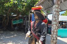 Private Full-Day Tour of Florida Keys from Miami Key Largo to Key West