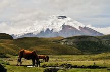 Hiking in the Andes – the Avenue of Volcanoes 6 Days