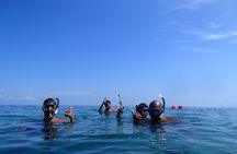 Full Day Cahuita Snorkel And Sloth Sanctuary from Puerto Viejo de Limón