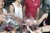 Visit of the Winemaker with Tasting of Typical Products in Faenza