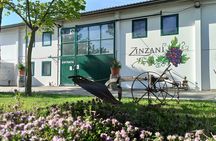 Visit of the Winemaker with Tasting of Typical Products in Faenza