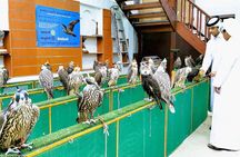 Doha Transit City Tour From Hamad Airport 