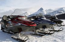 Ushuaia: Snow & Fire: Dog Sled and Snowshow By Night