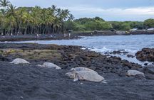 Private - All Inclusive Big Island Circle Tour