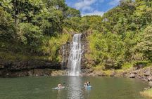 Private - All Inclusive Big Island Waterfalls Tour