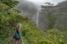 Private - All Inclusive Big Island Waterfalls Tour