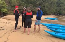 Guided Kayak Tour of Manly Cove Beaches