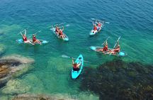 Guided Kayak Tour of Manly Cove Beaches