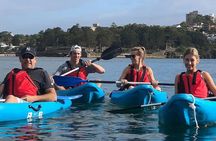 Guided Kayak Tour of Manly Cove Beaches