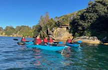 Guided Kayak Tour of Manly Cove Beaches