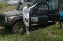 4 Days-SERENGETI SAFARI EXPERENCE START FROM ARUSHA