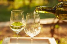 Cinque Terre: Authentic Pesto Cooking Class & Wine in Manarola