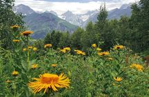 Svaneti Trek Mestia Ushguli 4 Days