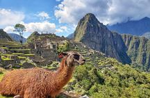 Machu Picchu Full Day Tour with a private guide