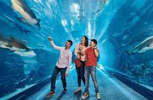 Dubai Aquarium UnderwaterZoo and Penguin cove Admission Ticket