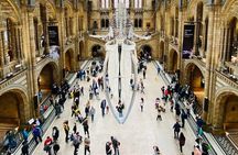 The Natural History Museum of London: Private Half-Day Tour