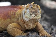 Galapagos Active Adventure Three islands 8 Days