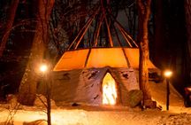 Ushuaia: Snow & Fire: Dog Sled and Snowshow By Night