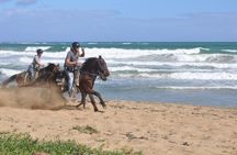 Horseback Riding Tour on the Beaches of Punta Cana