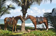 Horseback Riding Tour on the Beaches of Punta Cana