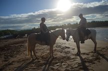 Half Day Buggies and Horseback Experience in Punta Cana