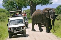 3 Days Private Midrange Lodge Safari with Kilimanjaro Day Hike
