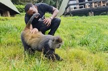 3 Days Private Midrange Lodge Safari with Kilimanjaro Day Hike