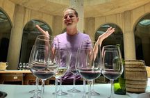 Maipo Valley: Historic Wineries & Classic Reds Tour