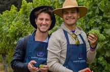 Casablanca Wine Valley LGBT+