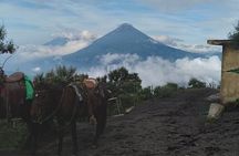 Pacaya Volcano Hike! from Puerto Quetzal 