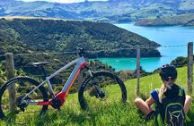 Guided Electric Mountain Bike Tour- Akaroa Explorer