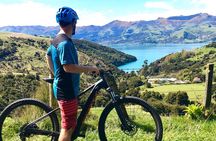 Guided Electric Mountain Bike Tour- Akaroa Explorer