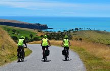 Guided Electric Mountain Bike Tour- Akaroa Explorer