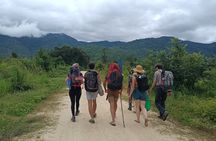 Aural Mountain Trek: Cambodia Tallest Peak Challenge