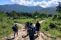 Aural Mountain Trek: Cambodia Tallest Peak Challenge