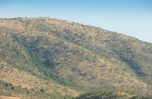 2 Day Pilanesberg Camping Safari