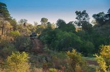2 Day Pilanesberg Camping Safari