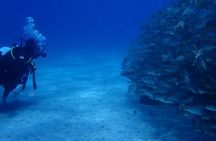 Discover Scuba Diving, Tenerife. Photos and videos included