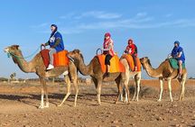 Full-day trip to the Atlas Mountains of Morocco and Camel ride