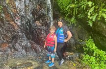 Yunque Rainforest Tour in Puerto Rico