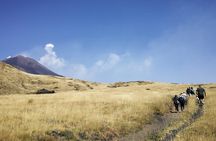 Guided trekking on Etna and Alcantara