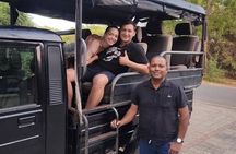 Explore The Beauty Of Udawalawe National Park From South Coast During 01 Day