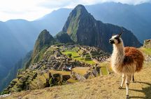 5 Day Cusco Tour and Rainbow Mountain Visit All Inclusive