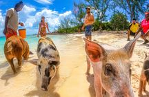 SunCay Swimming Pigs Adventure with Lunch at Pigs Beach