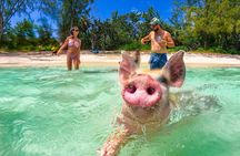 SunCay Swimming Pigs Adventure with Lunch at Pigs Beach