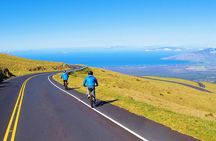 Haleakala Express Self-Guided Bike Tour with Bike Maui