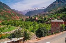 Private Day Trip To Ourika Valley And Anima Garden(André Heller)